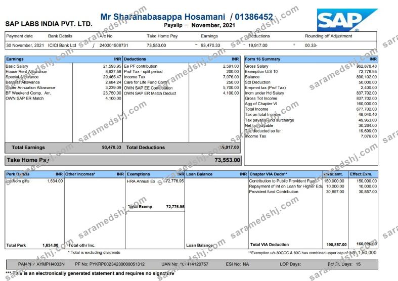 Sap Labs Payslip